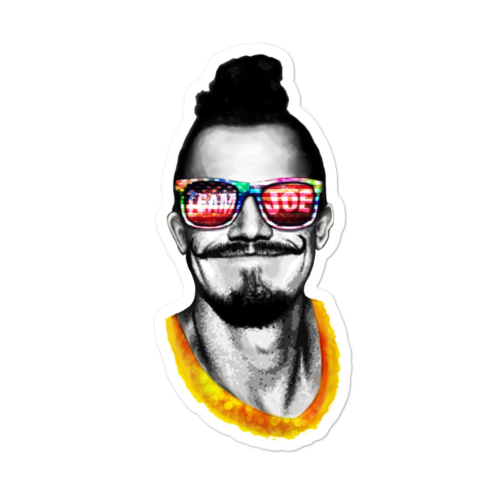 Team Joe Stickers